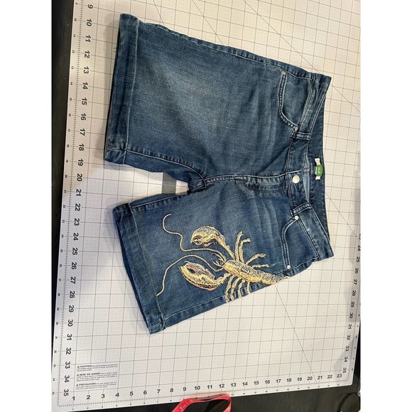 Anthropologie ETT Twa embroidered shorts size 28 - Picture 1 of 5